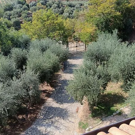 Rita * Corigliano Calabro